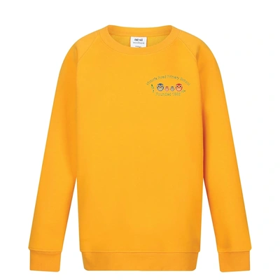  Logo Orange Jumper Copy
